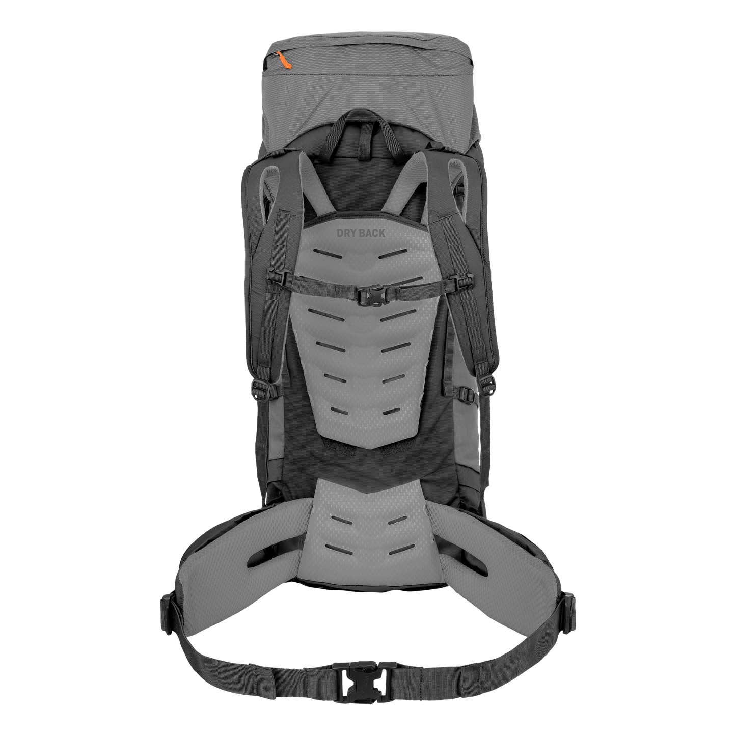 SALEWA ALPTREK 65 +10 PRO BP - VAELLUSREPPU / RINKKA