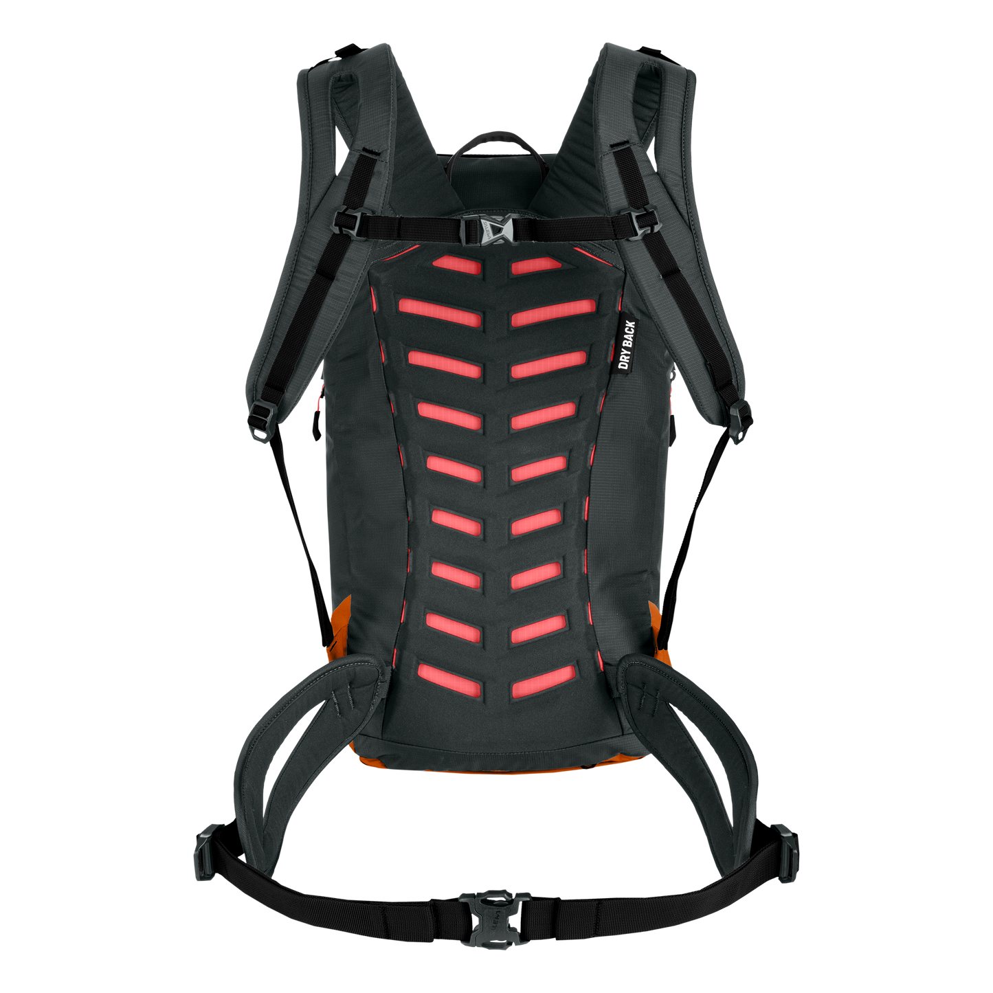 SALEWA PUEZ 25L BP - REPPU