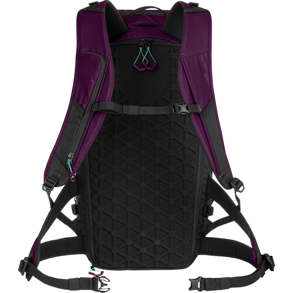 DYNAFIT FREE 32 BACKPACK W - NAISTEN LASKUREPPU