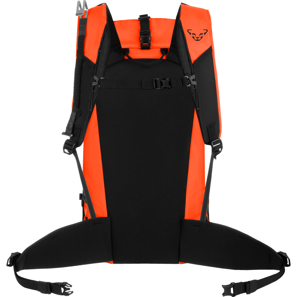 DYNAFIT EXPEDITION 36 BACKPACK - LASKUREPPU