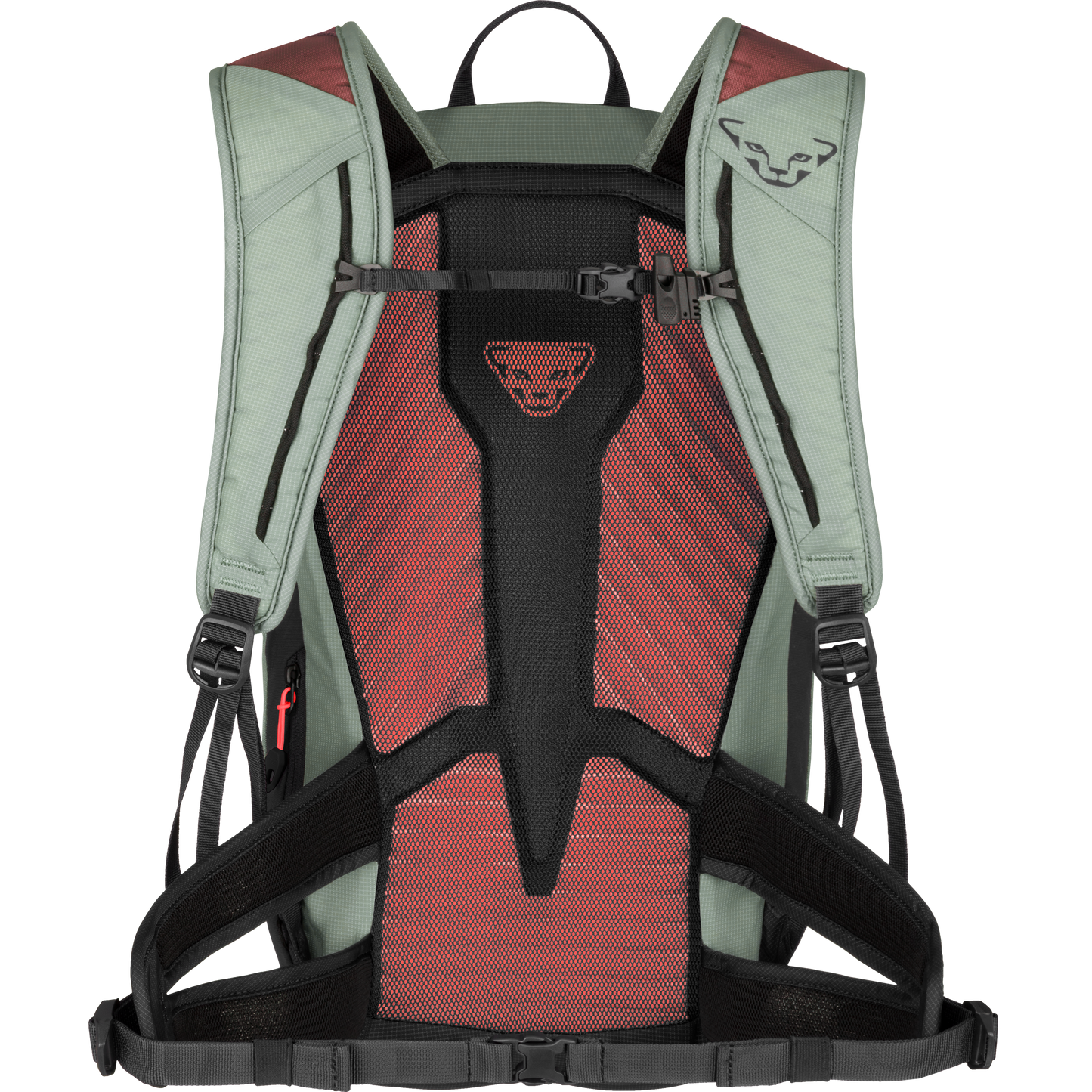 DYNAFIT TRANSALPER 22 BACKPACK W - PÄIVÄREPPU NAISILLE
