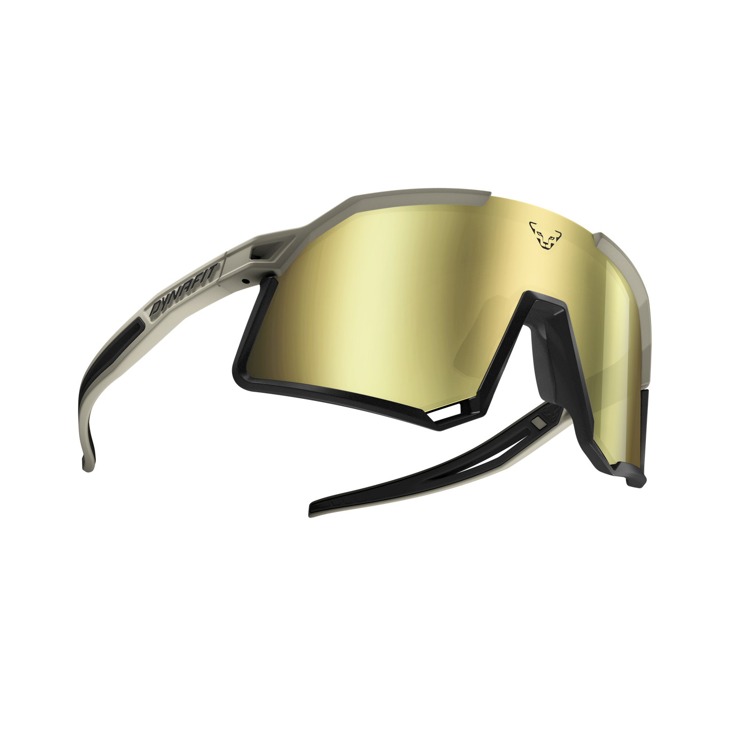 DYNAFIT TRAIL EVO SUNGLASSES - URHEILULASIT