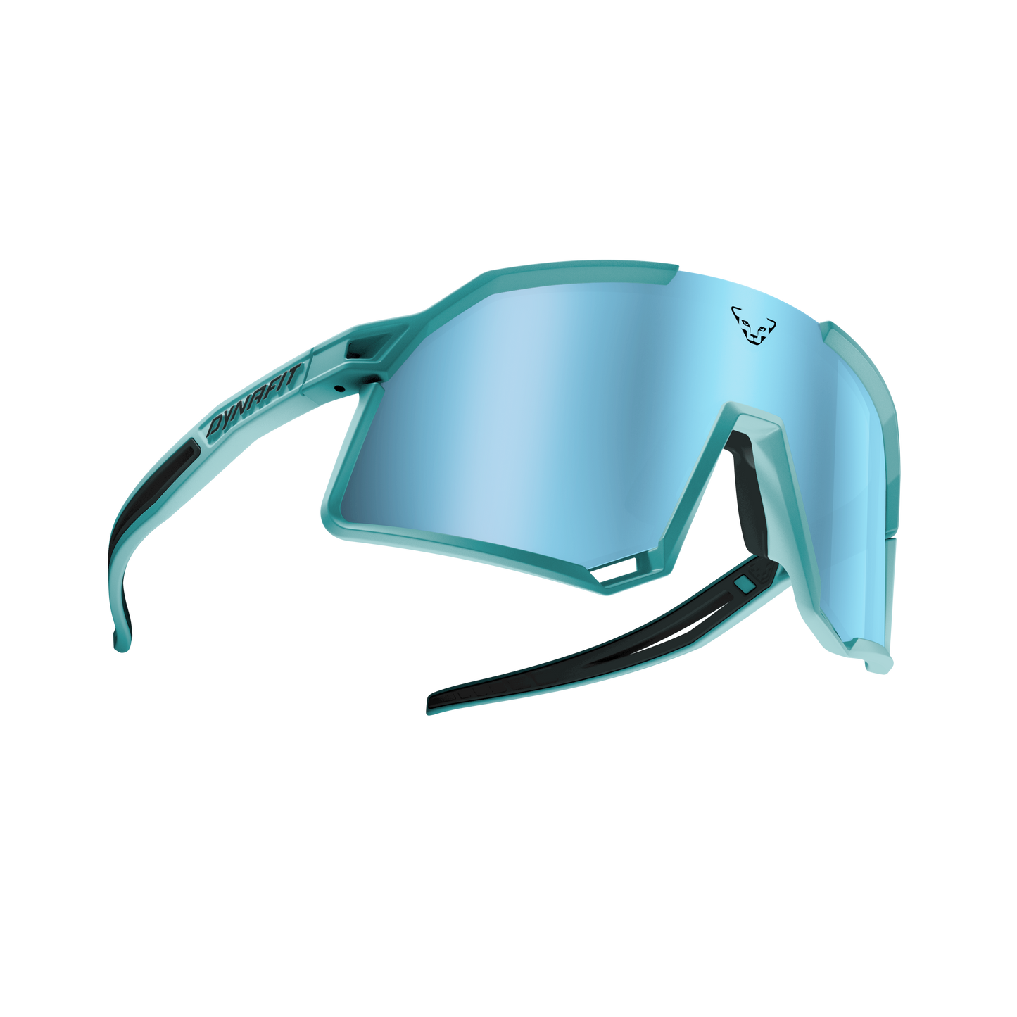 DYNAFIT TRAIL EVO SUNGLASSES - URHEILULASIT