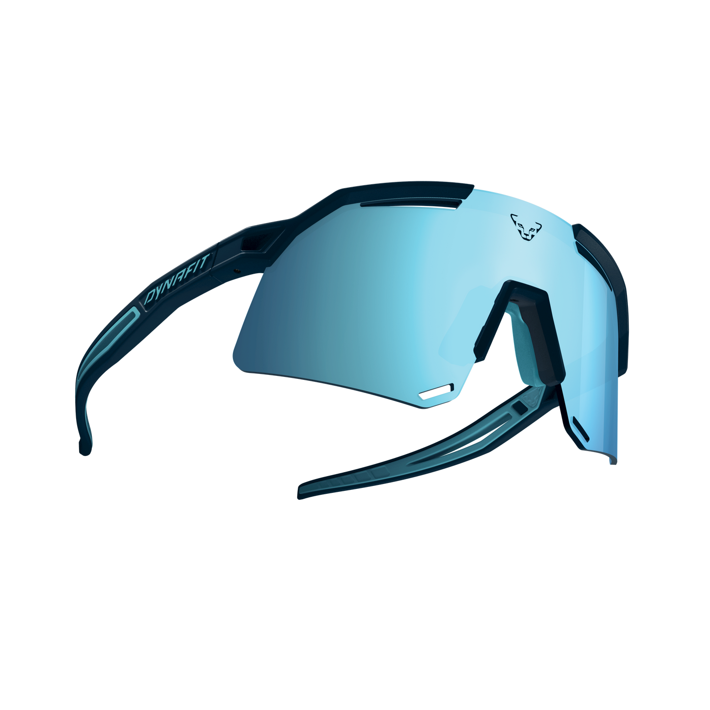 DYNAFIT ULTRA EVO SUNGLASSES - URHEILULASIT
