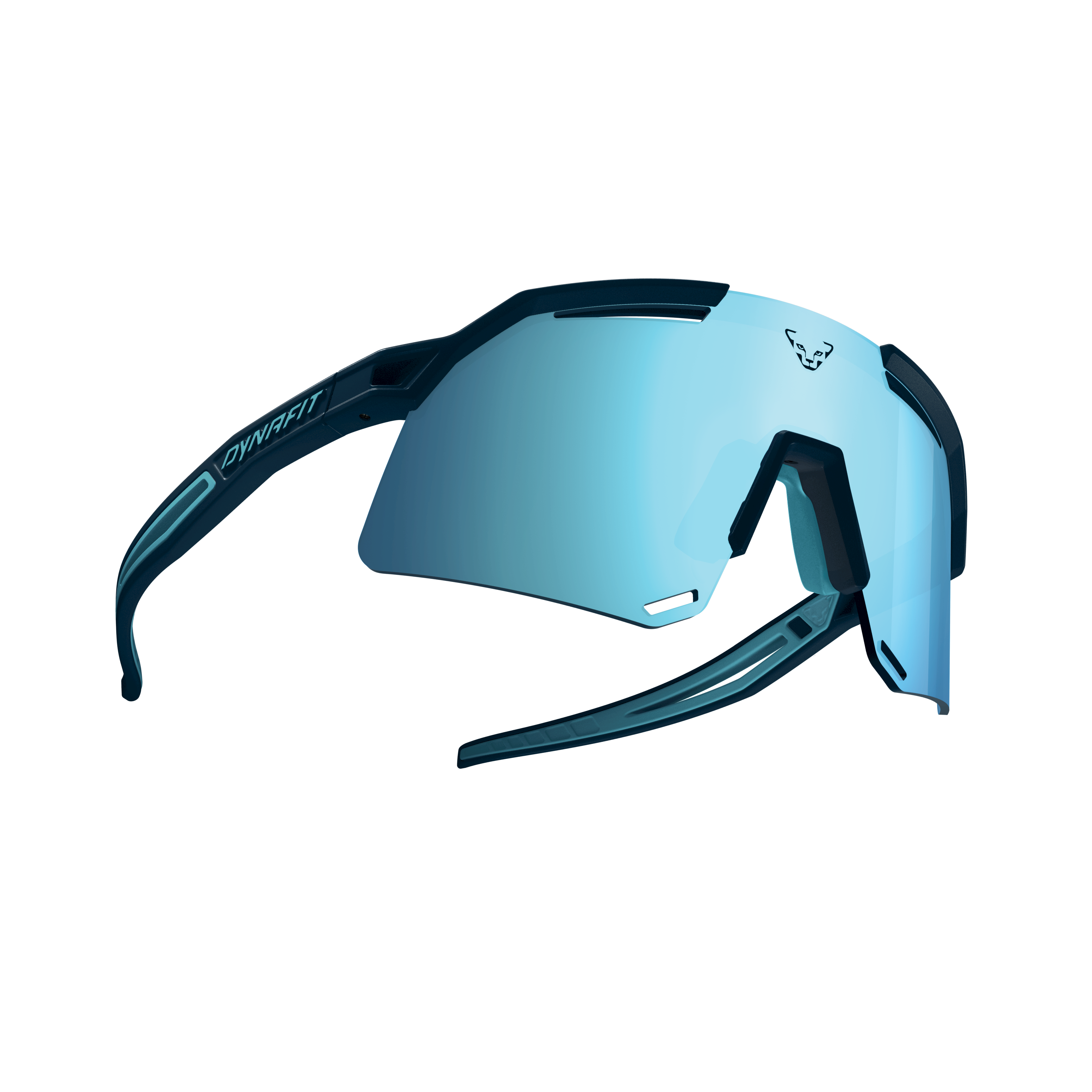DYNAFIT ULTRA EVO SUNGLASSES - URHEILULASIT