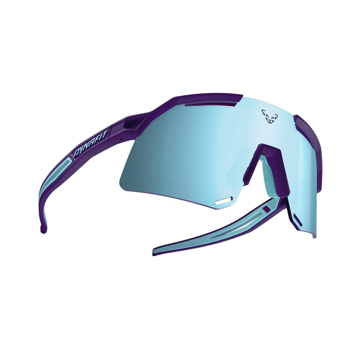 DYNAFIT ULTRA EVO SUNGLASSES - URHEILULASIT