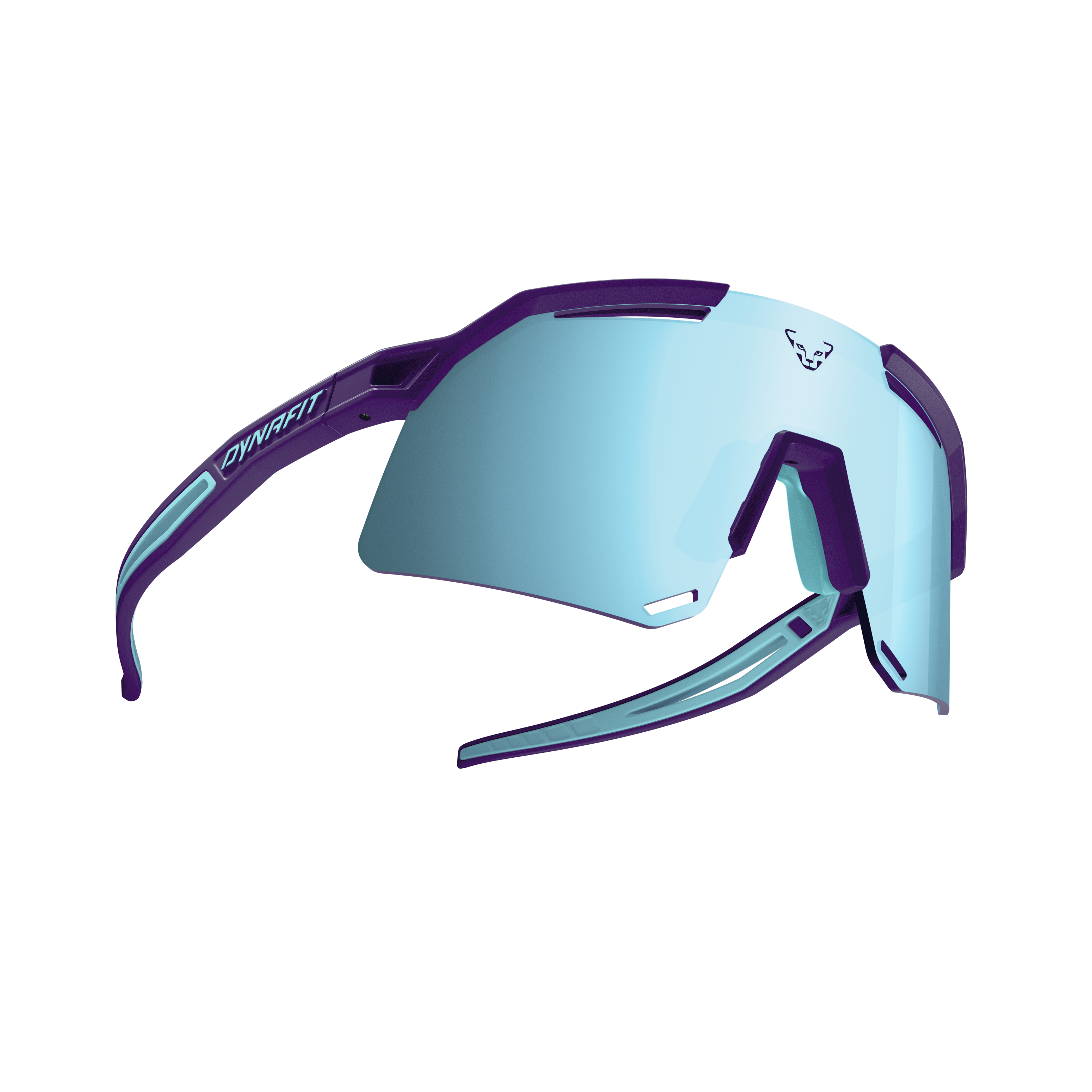 DYNAFIT ULTRA EVO SUNGLASSES - URHEILULASIT