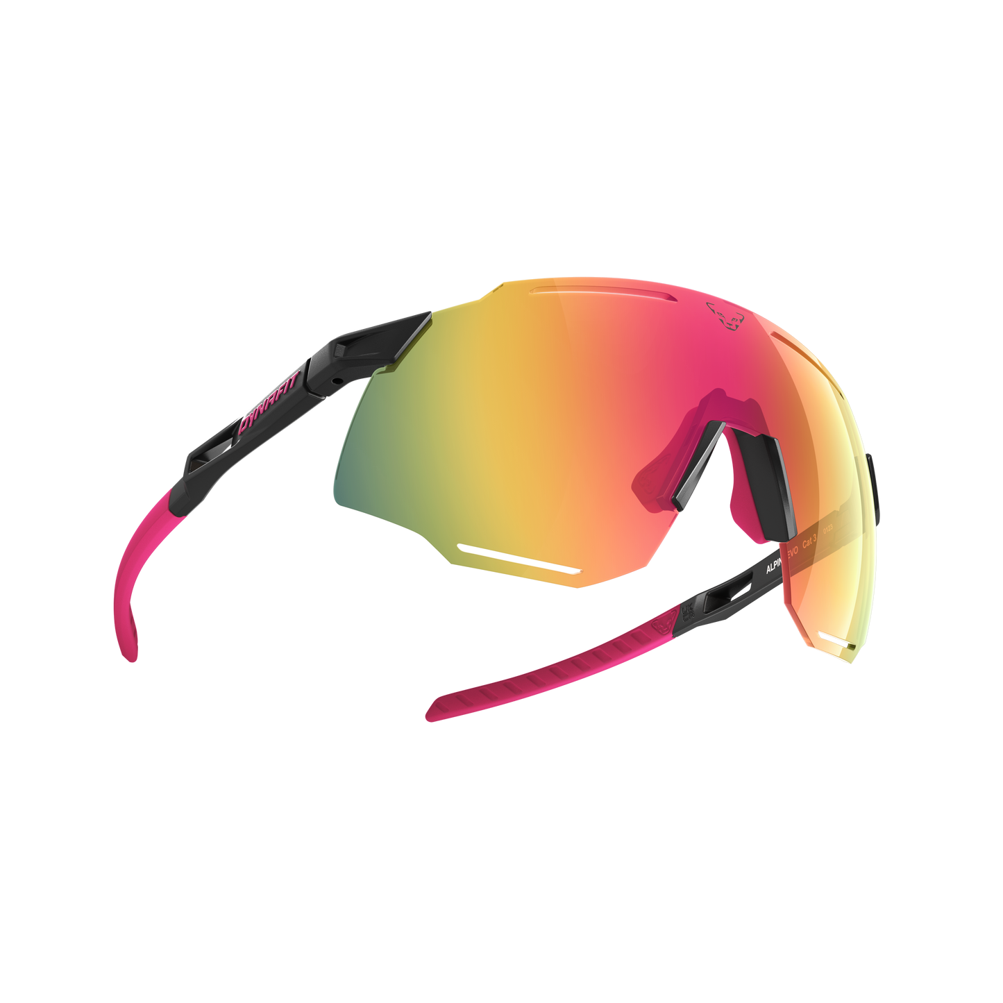 DYNAFIT ALPINE EVO SUNGLASSES - URHEILULASIT