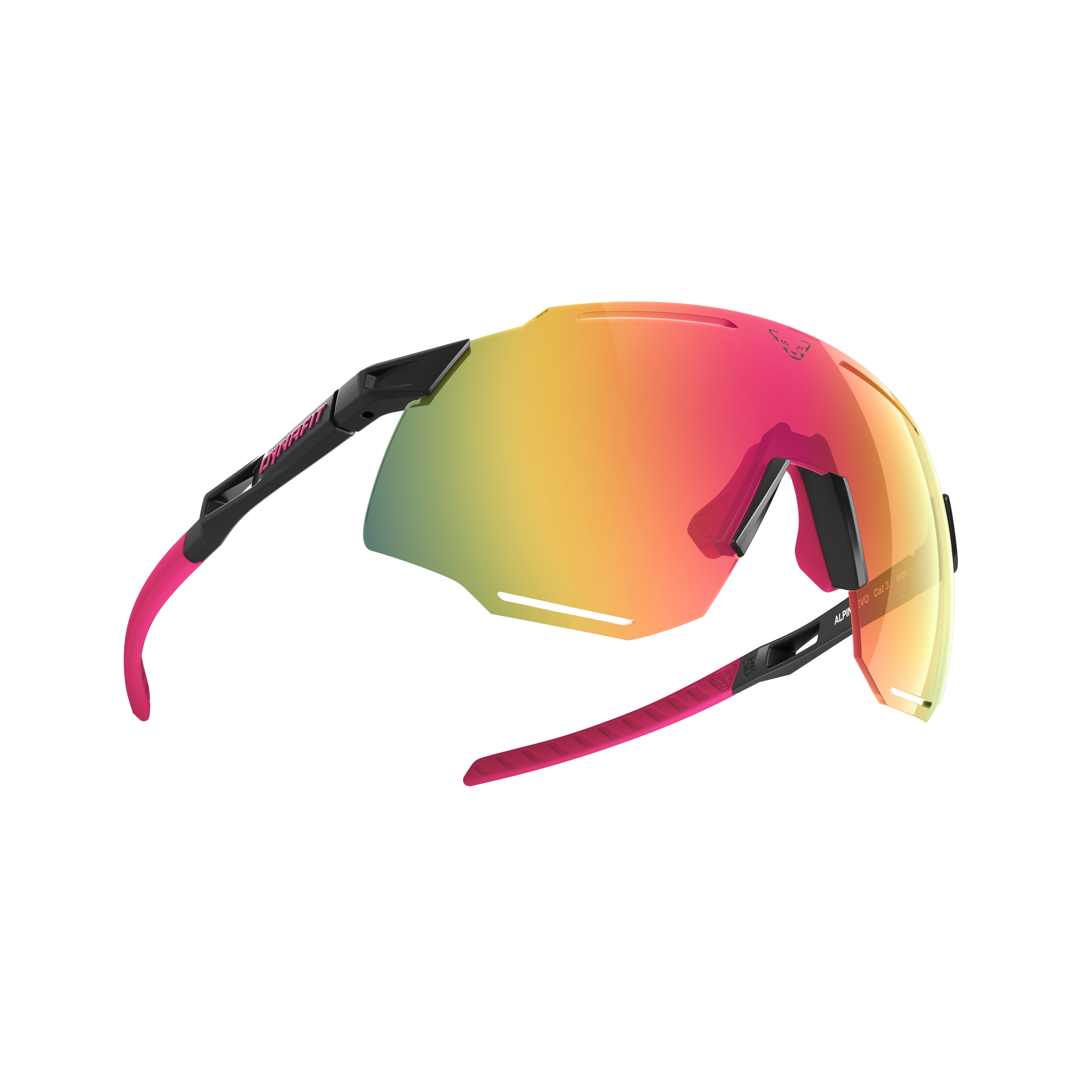 DYNAFIT ALPINE EVO SUNGLASSES - URHEILULASIT