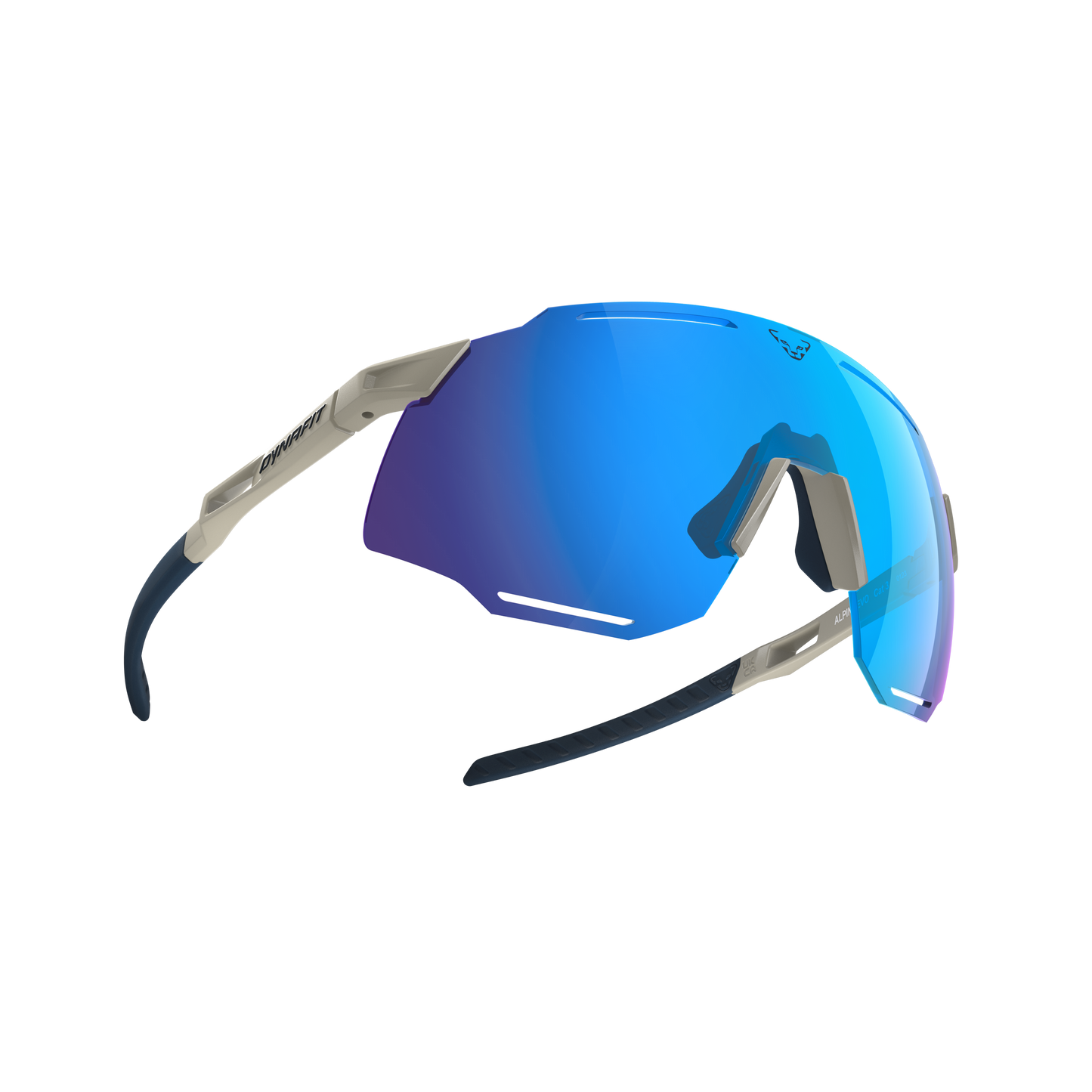 DYNAFIT ALPINE EVO SUNGLASSES - URHEILULASIT