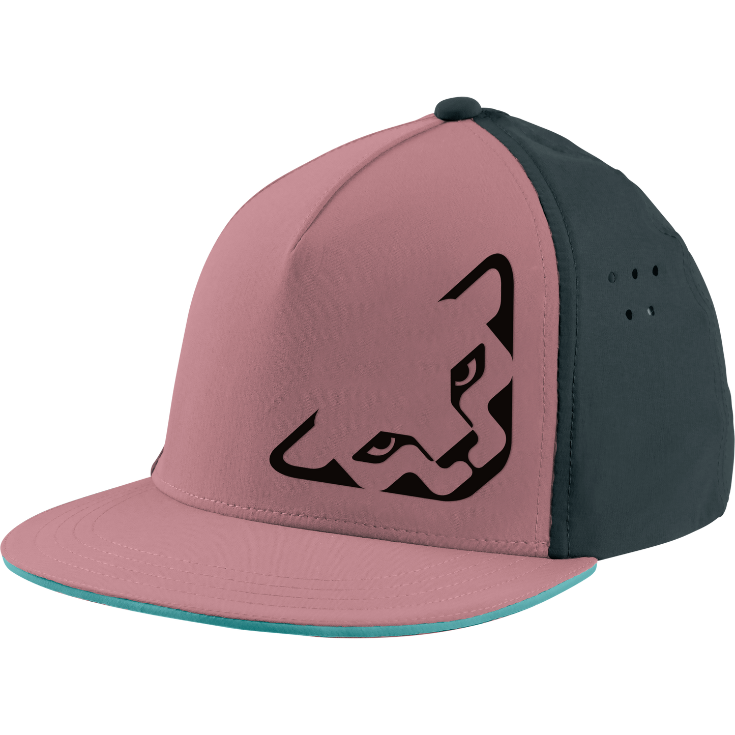 DYNAFIT TECH TRUCKER CAP - LIPPIS
