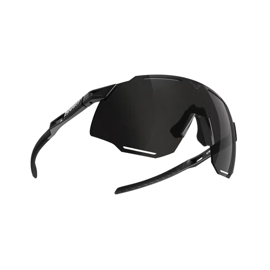 DYNAFIT ALPINE SUNGLASSES - URHEILULASIT