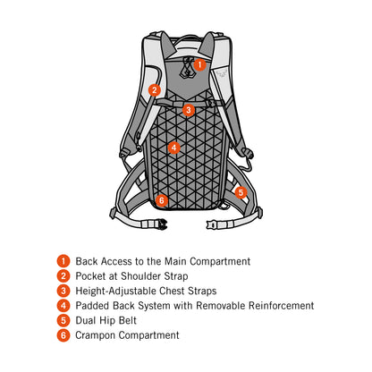 DYNAFIT FREE 34 BACKBACK M - LASKUREPPU