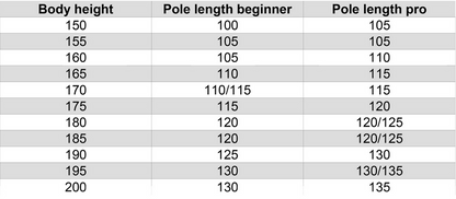 DYNAFIT ALPINE POLE - JUOKSUSAUVAT