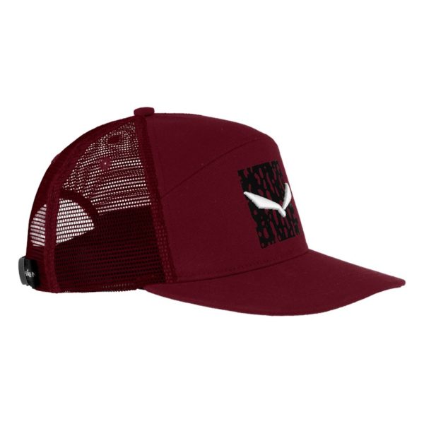 Salewa Pure Salamander Logo lippalakki