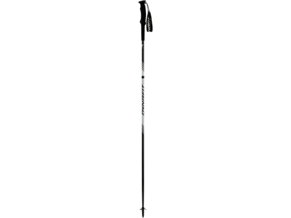 Dynafit Alpine Pro - sauva