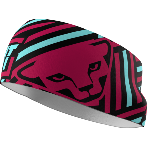 Dynafit Graphic Performance Headband - otsapanta - Image 23