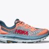 PAPAYA/REALTEAL